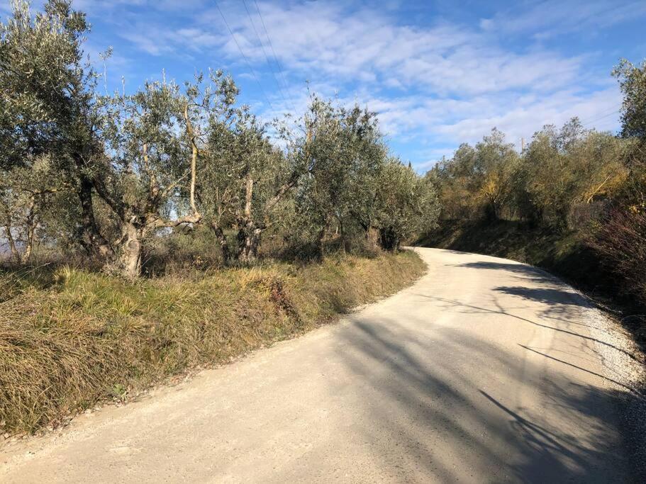 Villa La Vigna Agriturismo Siena Exterior foto