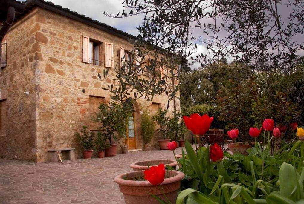 Villa La Vigna Agriturismo Siena Exterior foto