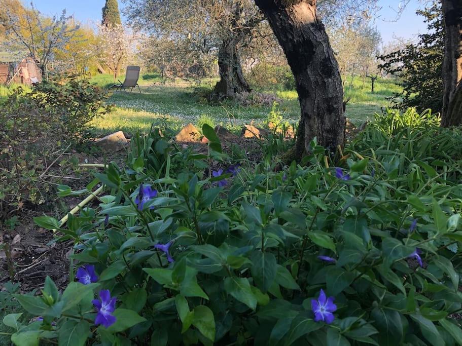 Villa La Vigna Agriturismo Siena Exterior foto