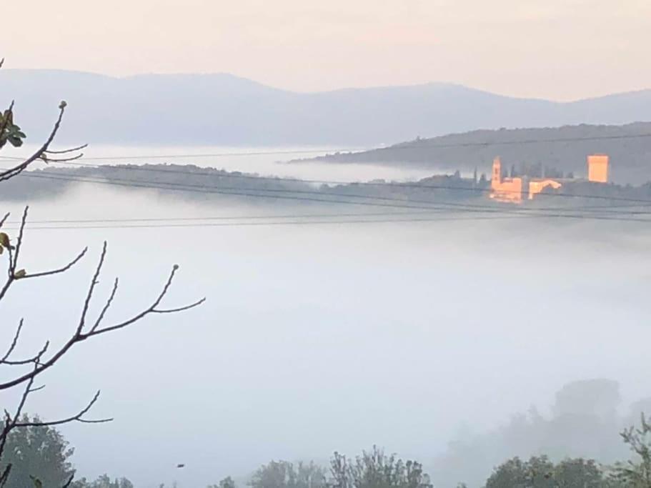 Villa La Vigna Agriturismo Siena Exterior foto