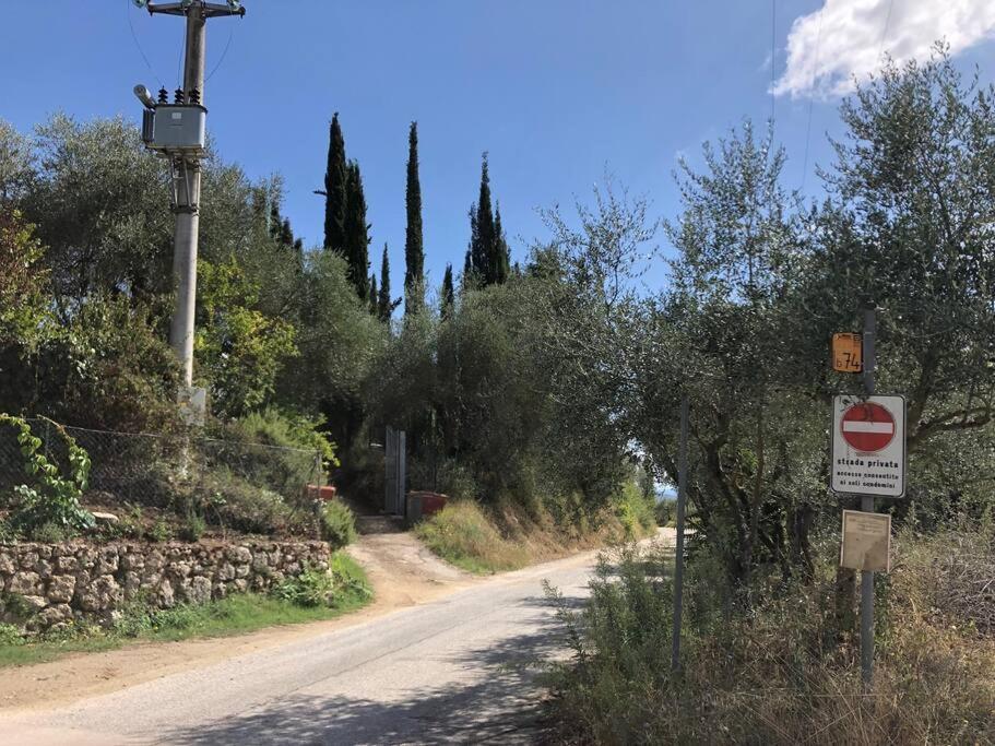 Villa La Vigna Agriturismo Siena Exterior foto